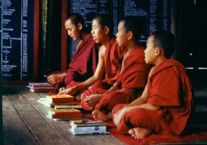 Tibet`lilerin Çin Tepkisi